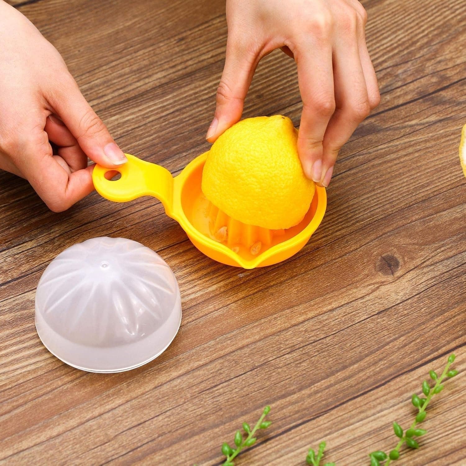 Manual Citrus Juicer the Effortless Lemon & Orange Squeezing for Home thumbnail 3