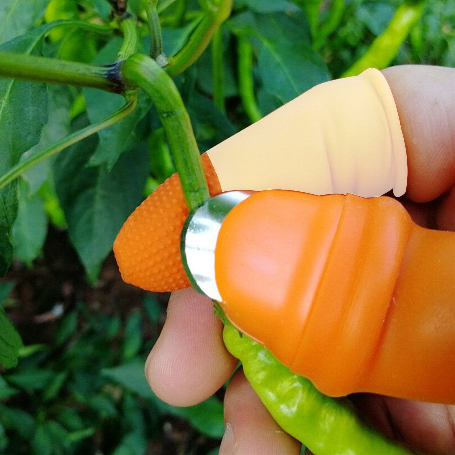 1 Pair V Thumb Cutter With Box Of Handy Peeler For Fruits & Vegetables thumbnail 3