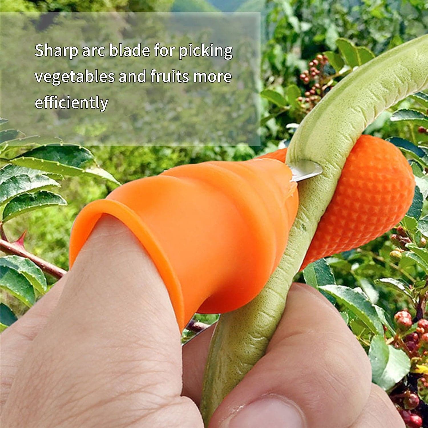 1 Pair V Thumb Cutter With Box Of Handy Peeler For Fruits & Vegetables thumbnail 6
