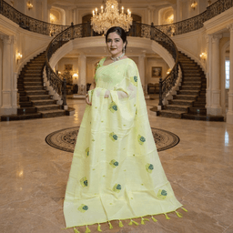 Self Design, Embroidered Daily Wear Organza Saree (Light Green)