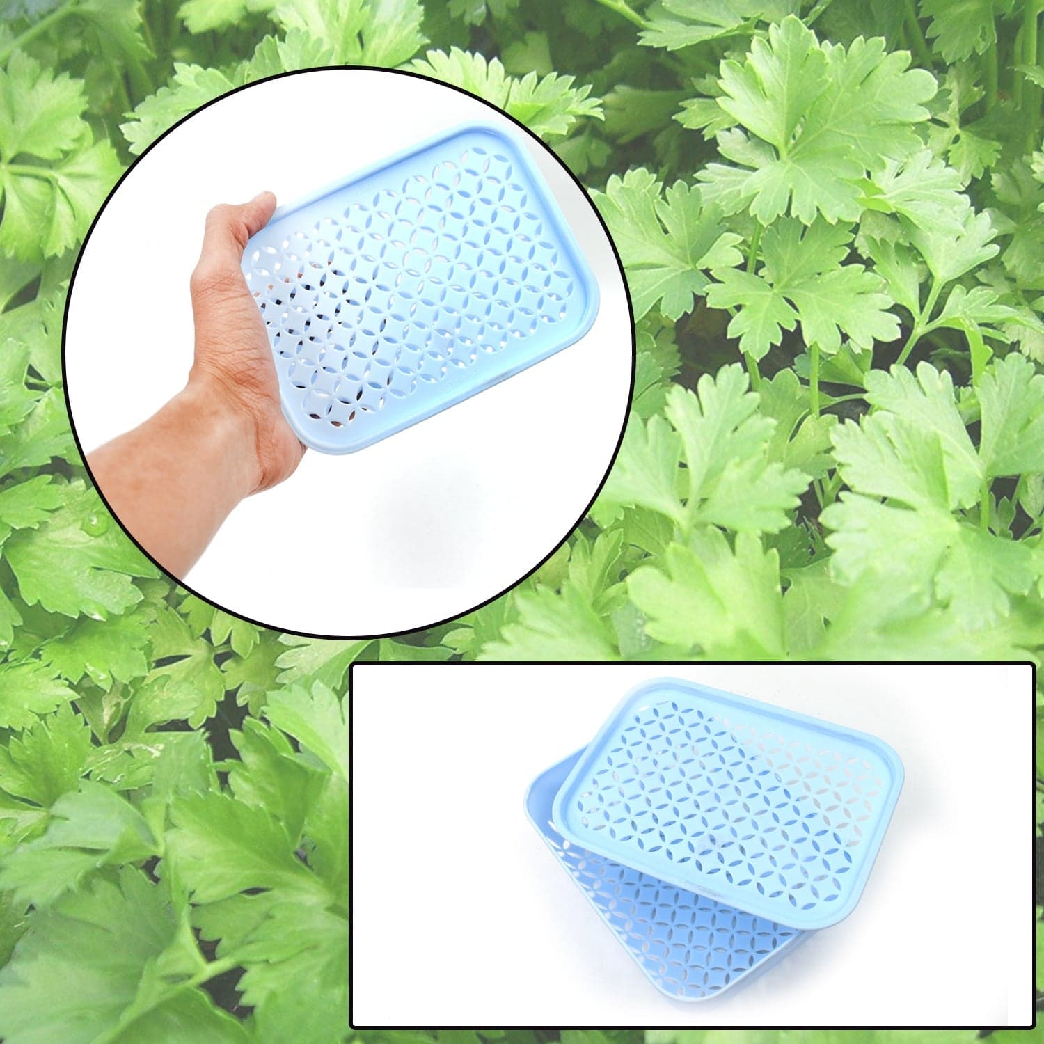 1 Pc Kothmir Basket widely used in all types of household places for holding and storing various kinds of fruits and vegetables etc. thumbnail 1
