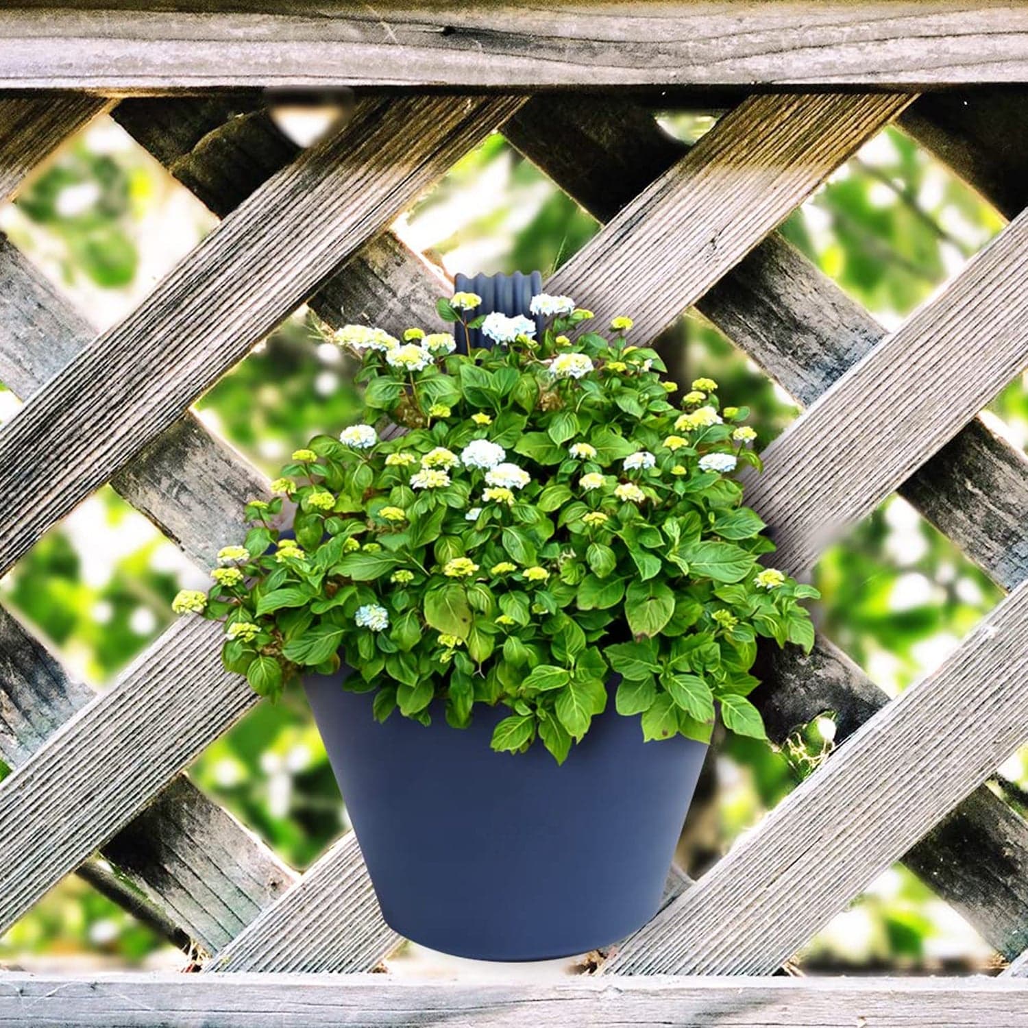 Hanging Planter Pot Used For Storing And Holding thumbnail 9