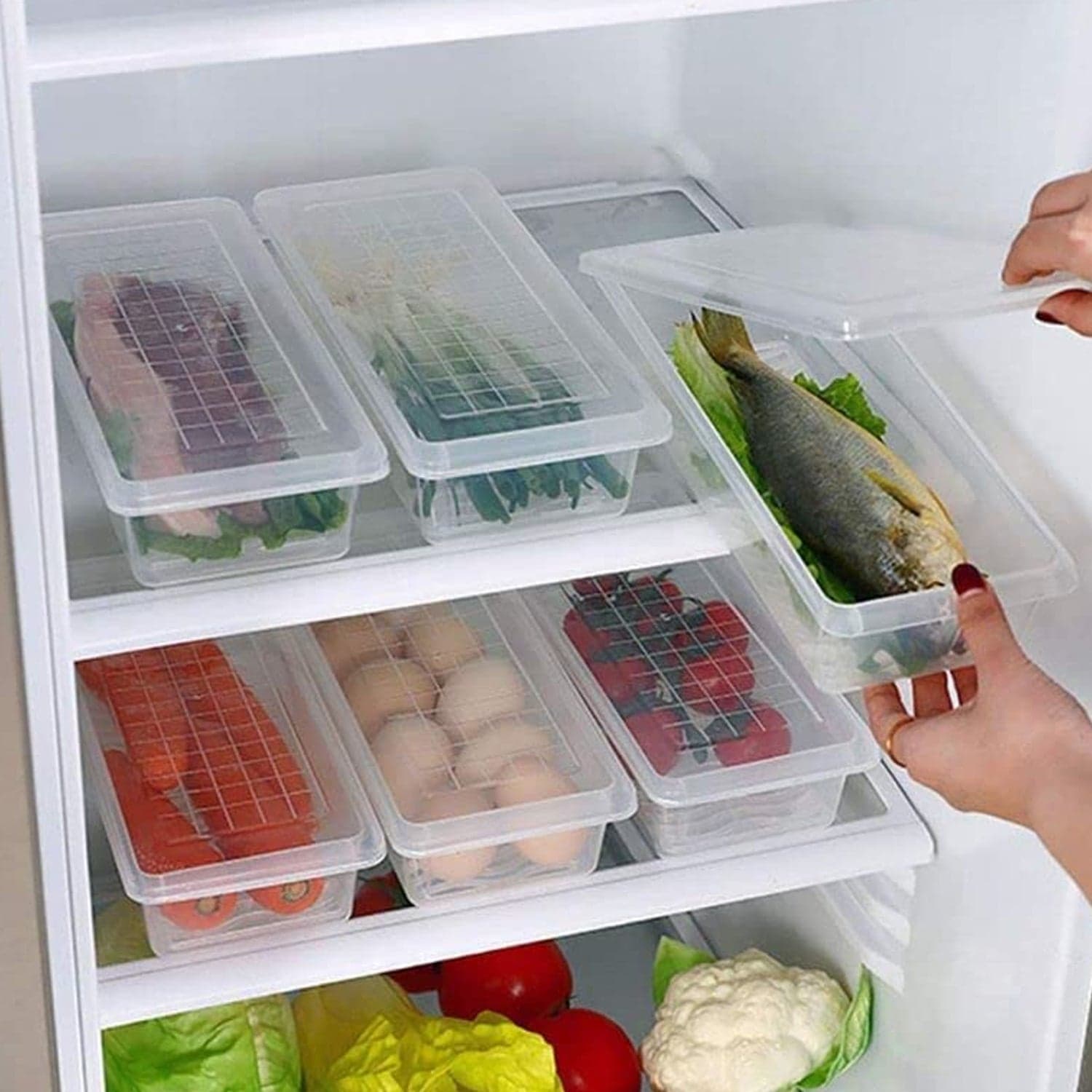 Vegetables & Fruits Freezer Storage Container (PACK OF 6PC 1500ML) thumbnail 7