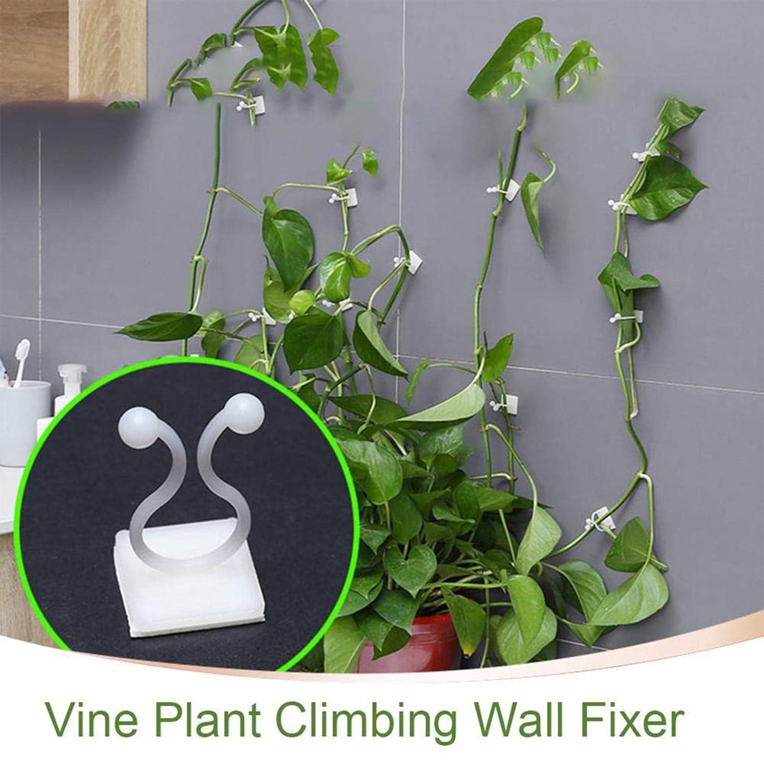wall Plant Climbing Clip widely used for holding plants and poultry purposes and all (30 Pcs Set) thumbnail 2