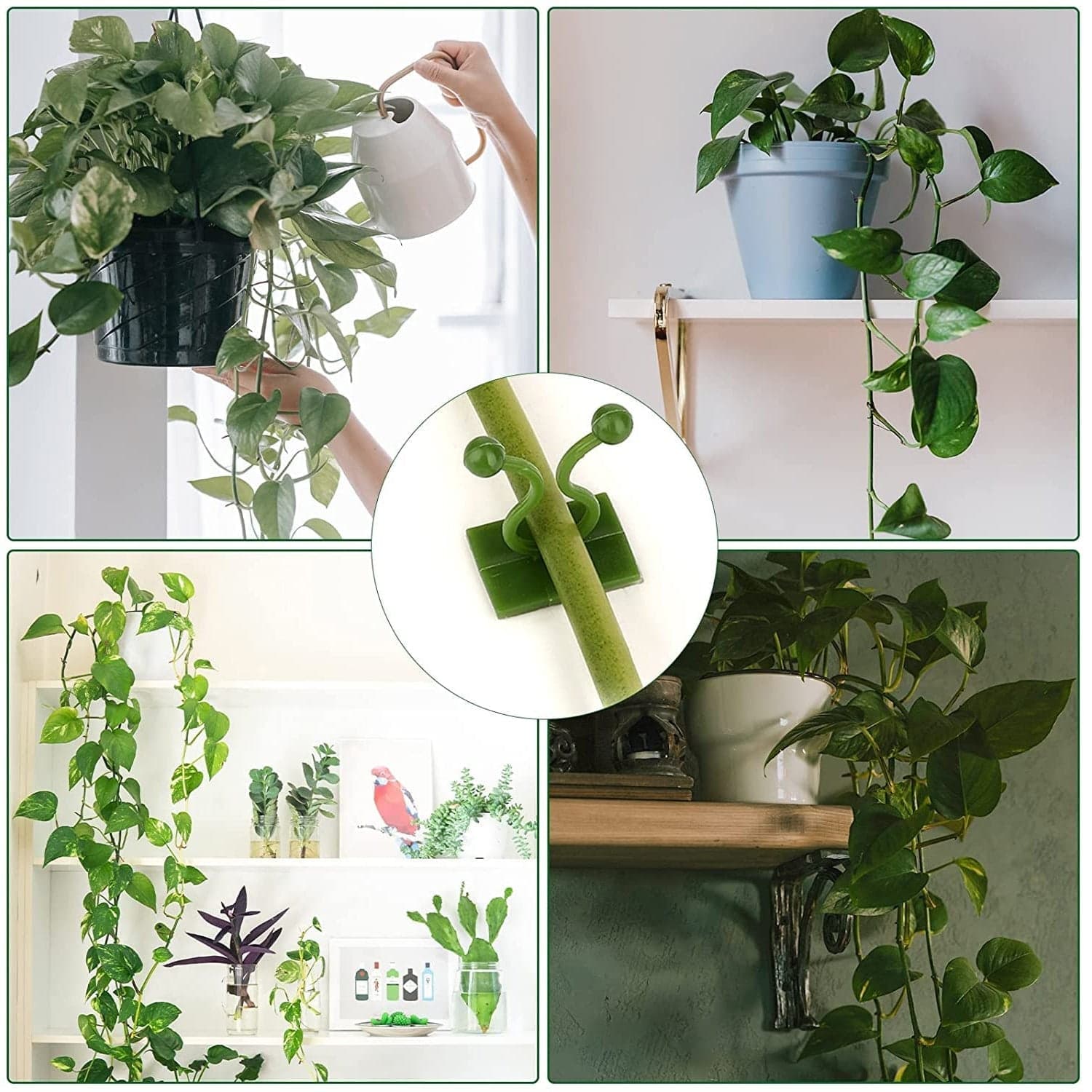 30pcs wall Plant Climbing Clip widely used for holding plants and poultry purposes and all (Box/30 Pcs Set) thumbnail 3
