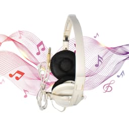 Foldable DJ Style Wired Headphones with Mic