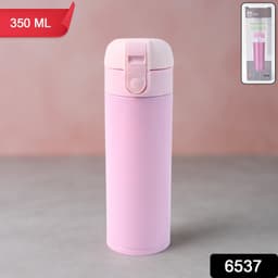 Stainless Steel Vacuum Water Bottle 350Ml