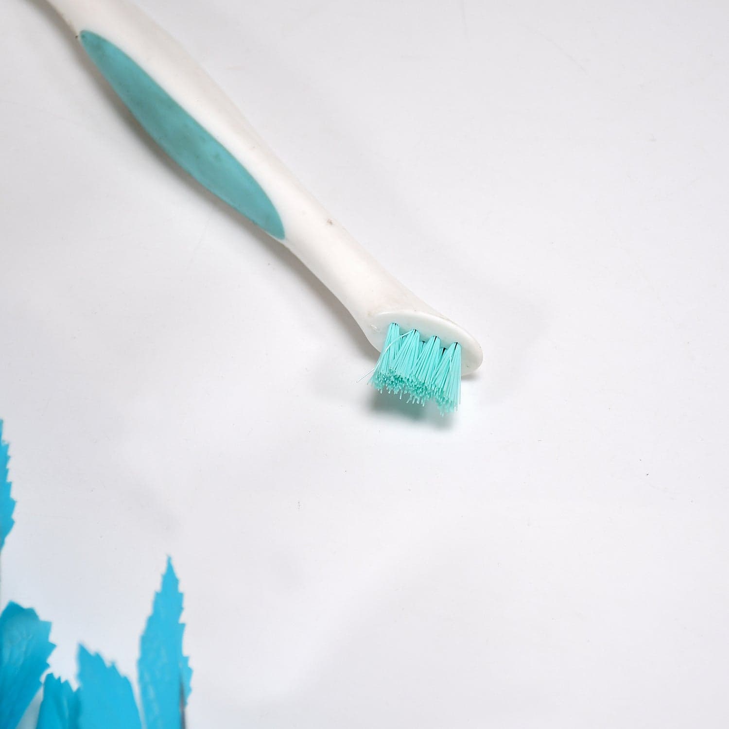 Multipurpose 2 side brush for home and kitchen use. thumbnail 4