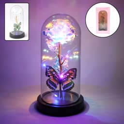 Led Light Dome Butterfly Rose