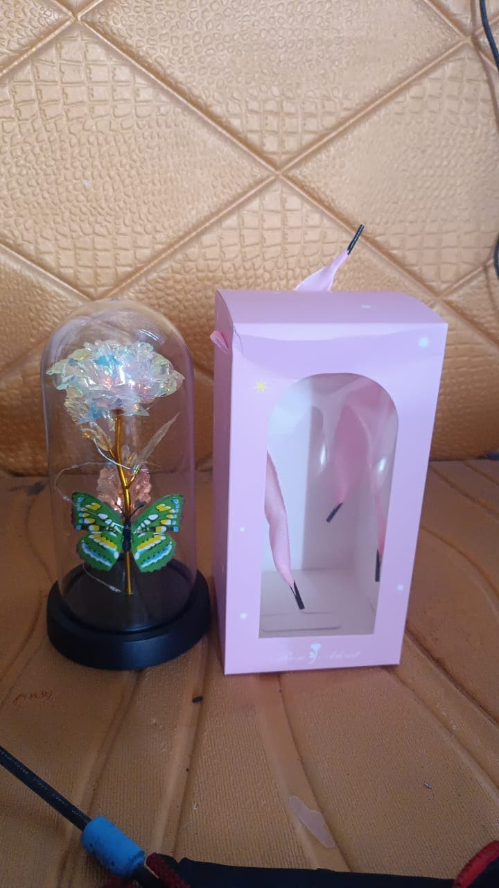 Led Light Dome Butterfly Rose thumbnail 6