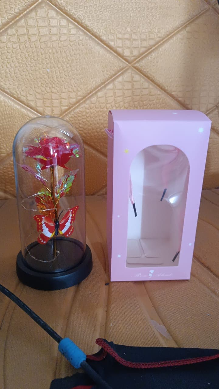 Elegant Led Eternal Rose In Plastic Dome thumbnail 6