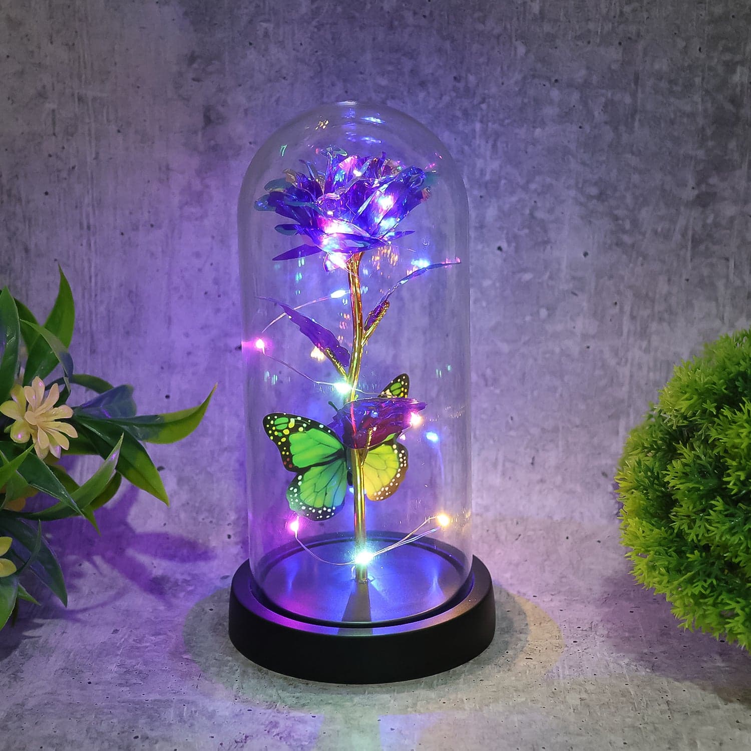 Led Preserved Rose With Colorful Butterfly In Plastic Dome 1 Pc Mix Color thumbnail 3