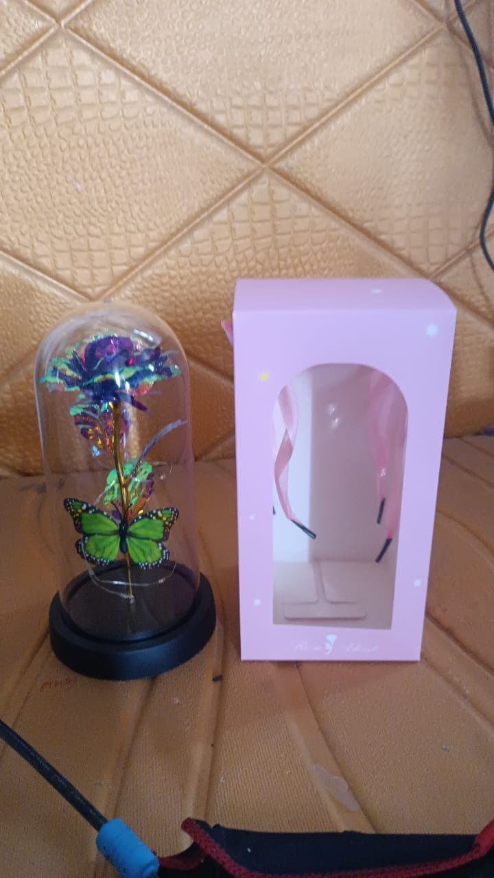 Led Preserved Rose With Colorful Butterfly In Plastic Dome 1 Pc Mix Color thumbnail 6