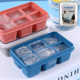 6 Grid Silicone Ice Tray With Color Box (1 Pc)