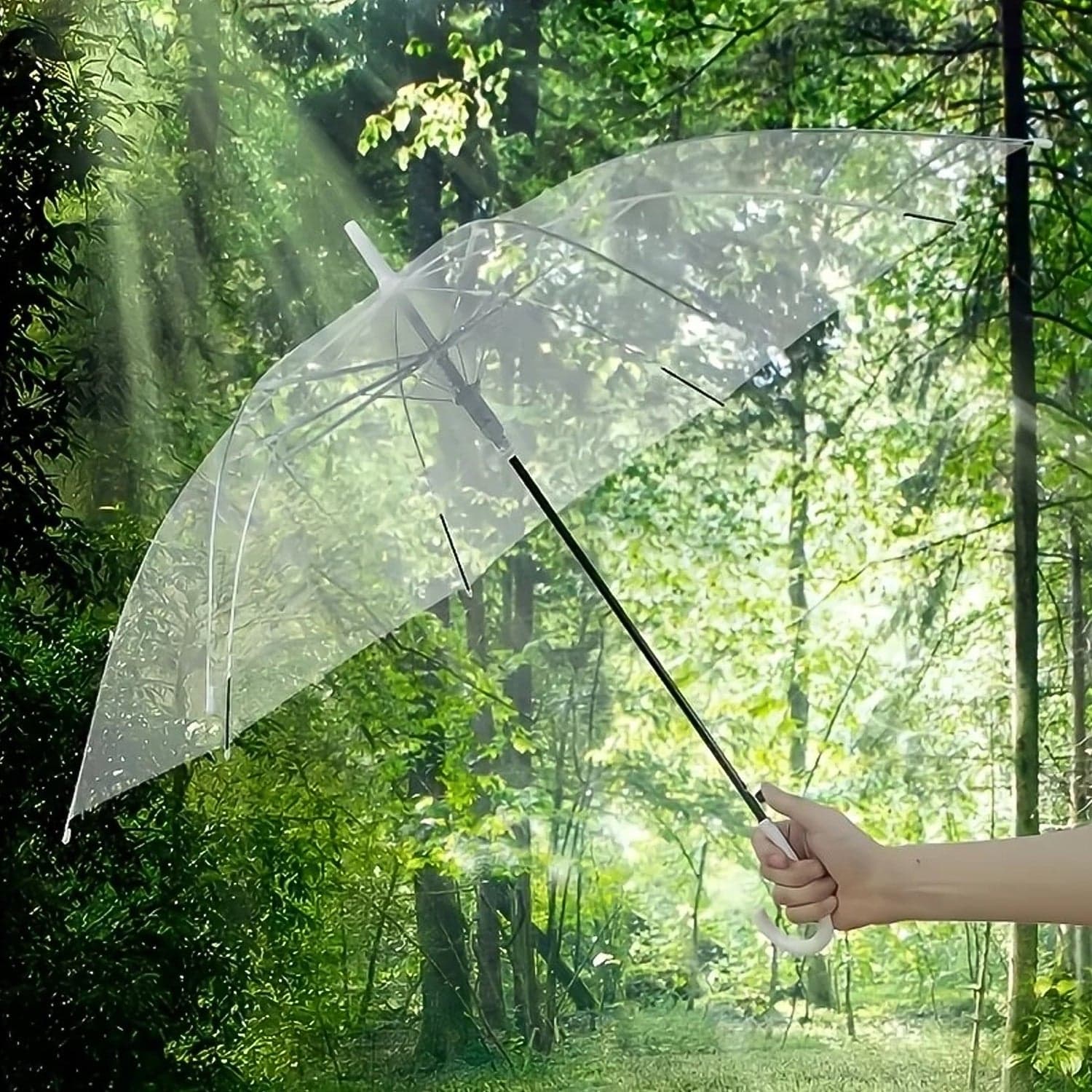 Trans Dome Umbrella 1Pc thumbnail 2