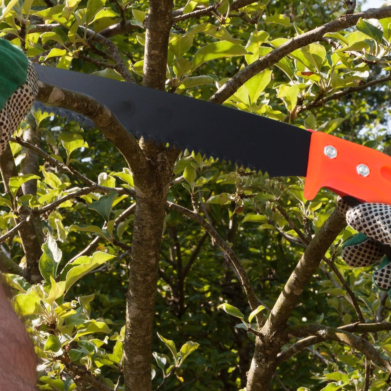 Hand Pruning Saw for Tree Branch Cutter (1 Pc) thumbnail 6