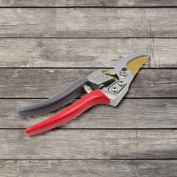 Garden Shears Pruners Scissor, flower cutter (18 MM)