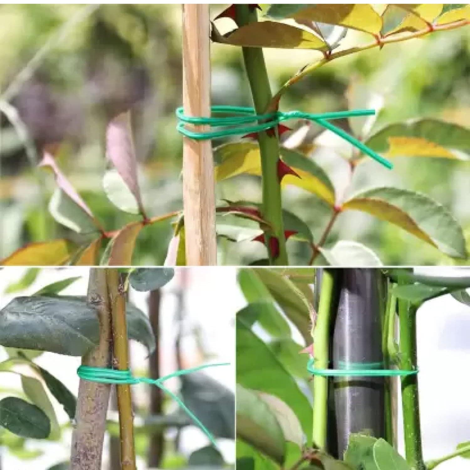 Garden Wire Sturdy Plant Ties For Support thumbnail 8