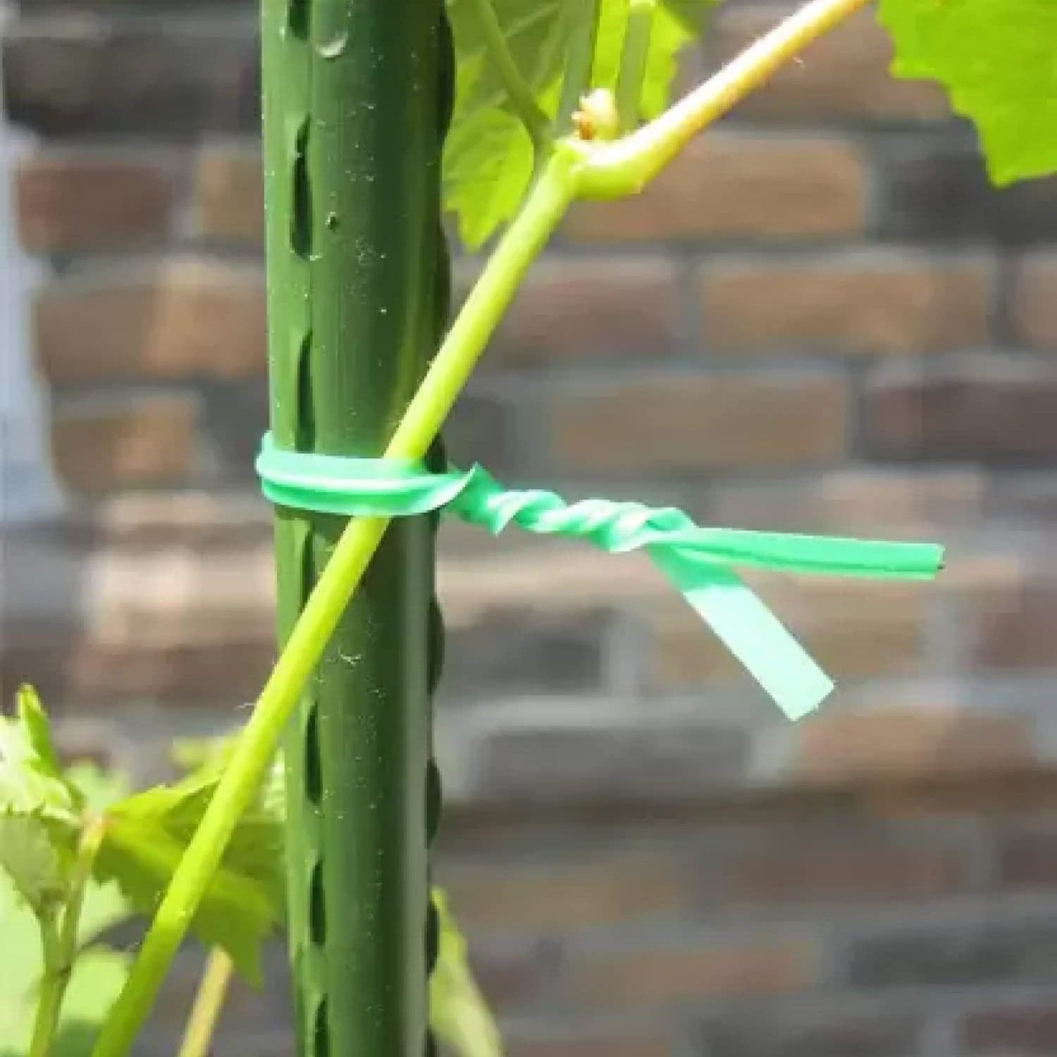 Garden Wire Sturdy Plant Ties For Support thumbnail 9