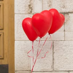 Heart Shaped Balloons One Color (20 Pcs Set)