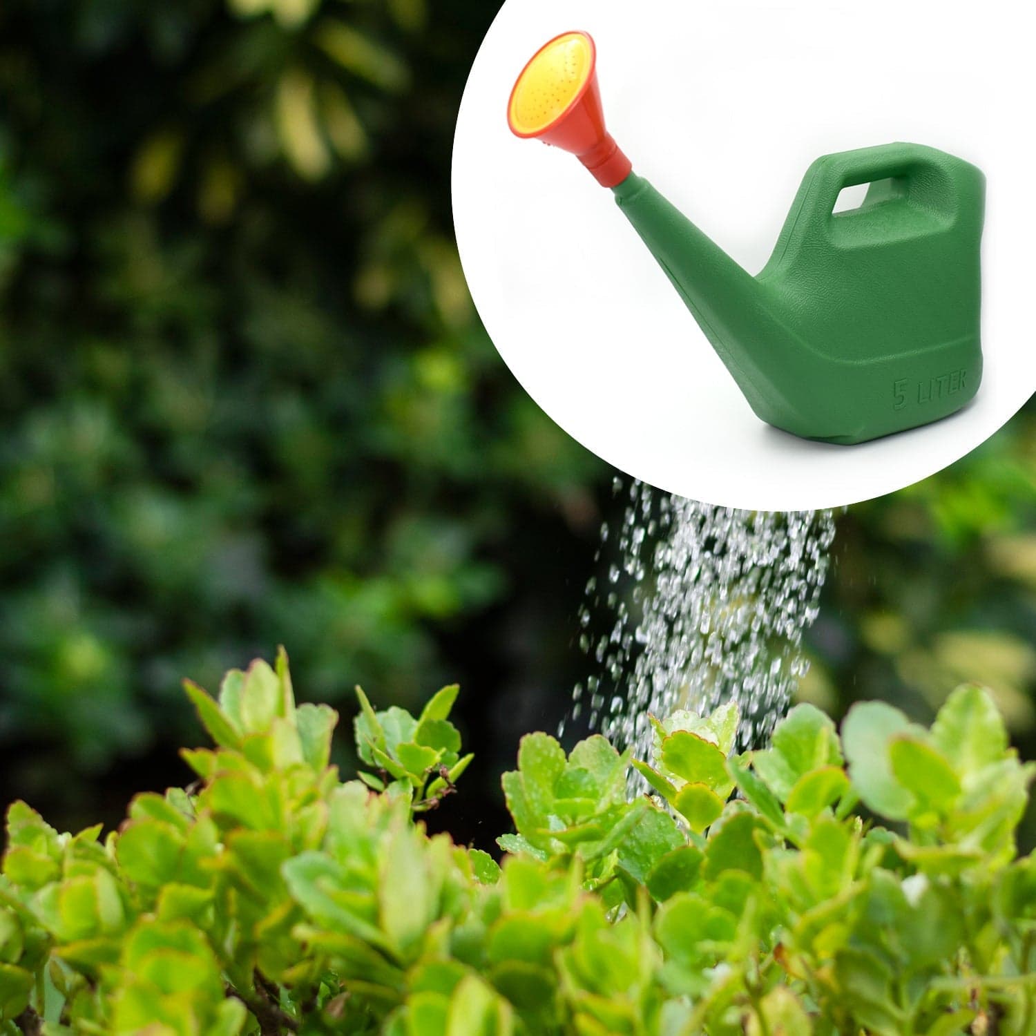 Plastic Watering Can Water Sprayer Sprinkler for Plants Indoor Outdoor Gardening, 5 LTR thumbnail 3