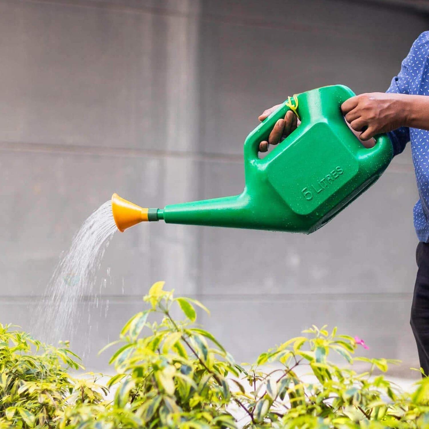 Plastic Watering Can Water Sprayer Sprinkler for Plants Indoor Outdoor Gardening, 5 LTR thumbnail 7