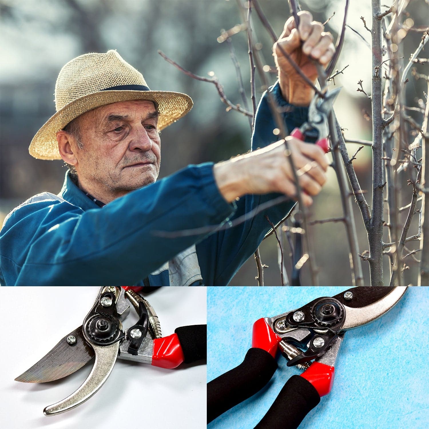 21Cm Red GARDEN SHEARS SHARP CUTTER PRUNERS SCISSOR, PRUNER. thumbnail 6