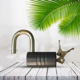 Heavy-Duty Iron Padlock Of 82Mm Black Spray Lock With Brass Core & 5 Keys