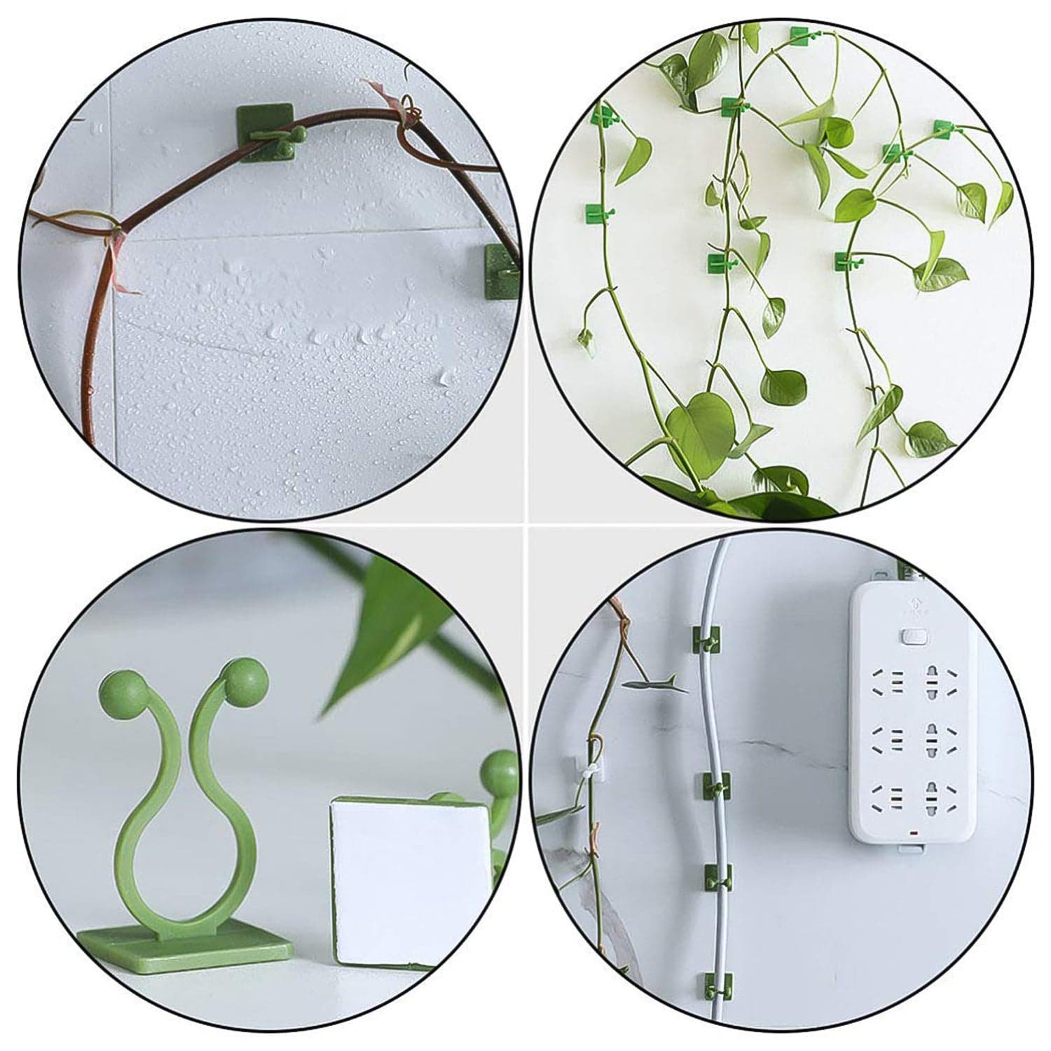 Plant Climbing Wall Fixture Clip Self-Adhesive Hook (40 Pcs Set / With plastic box) thumbnail 5