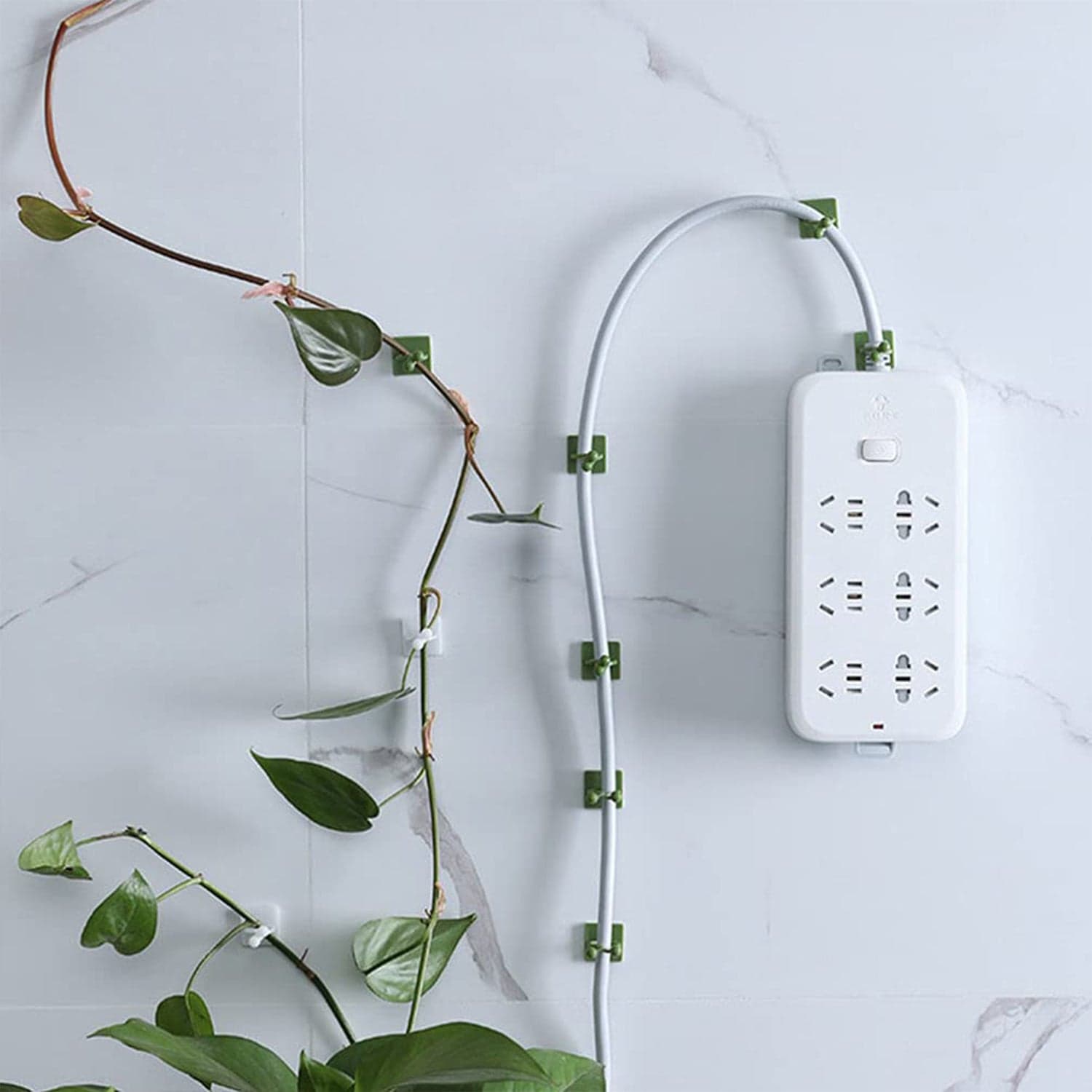 Plant Climbing Wall Fixture Clip Self-Adhesive Hook (40 Pcs Set / With plastic box) thumbnail 6
