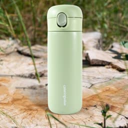 Stainless Steel Insulated Water Bottle (450 ml)