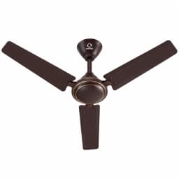 Dark Brown 1200 mm Three-Blade Ceiling Fan with Gold Ring Motor Housing