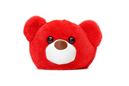 Teddy Face Plush Pouch for Girls & Kids ID No: GP054_RED