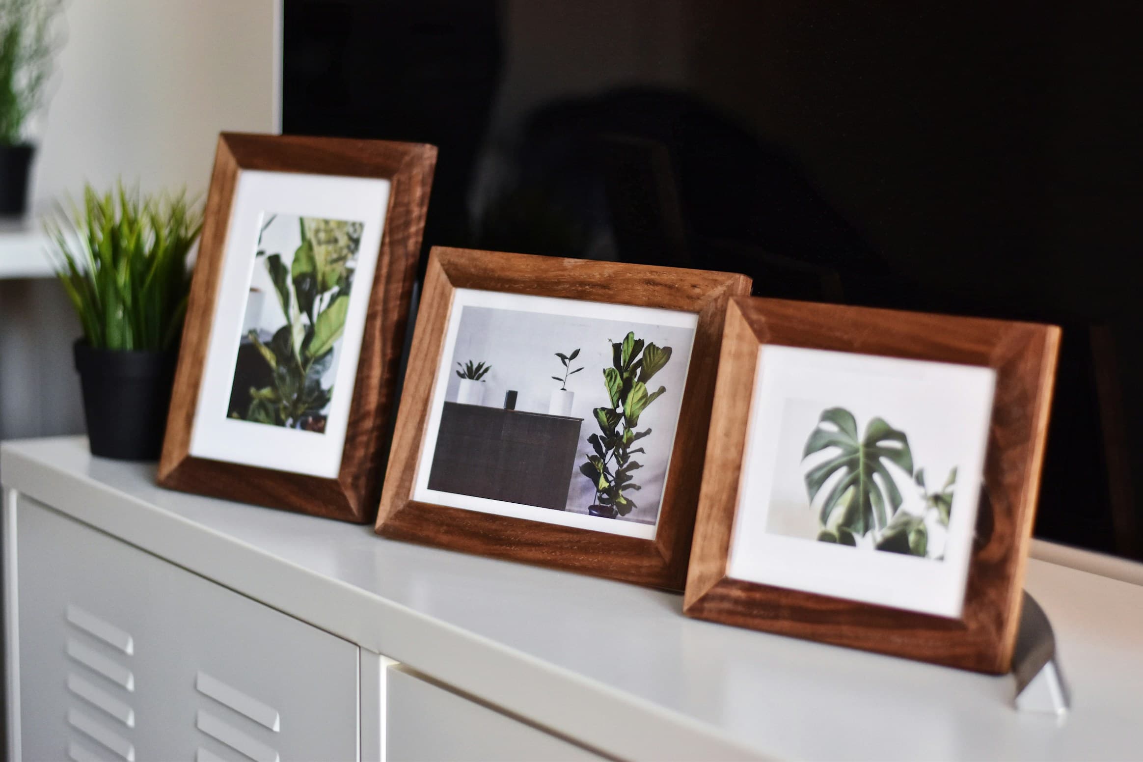 Photo Frames & Holders