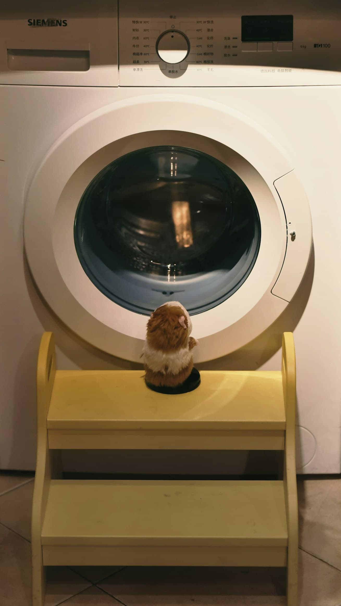 Washing machine stand
